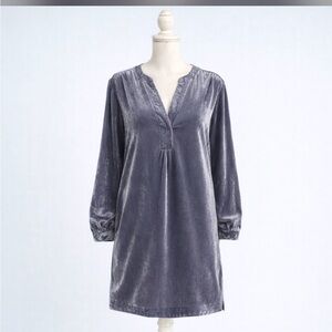 Anthropologie  Elegant Gray Velvet Dress